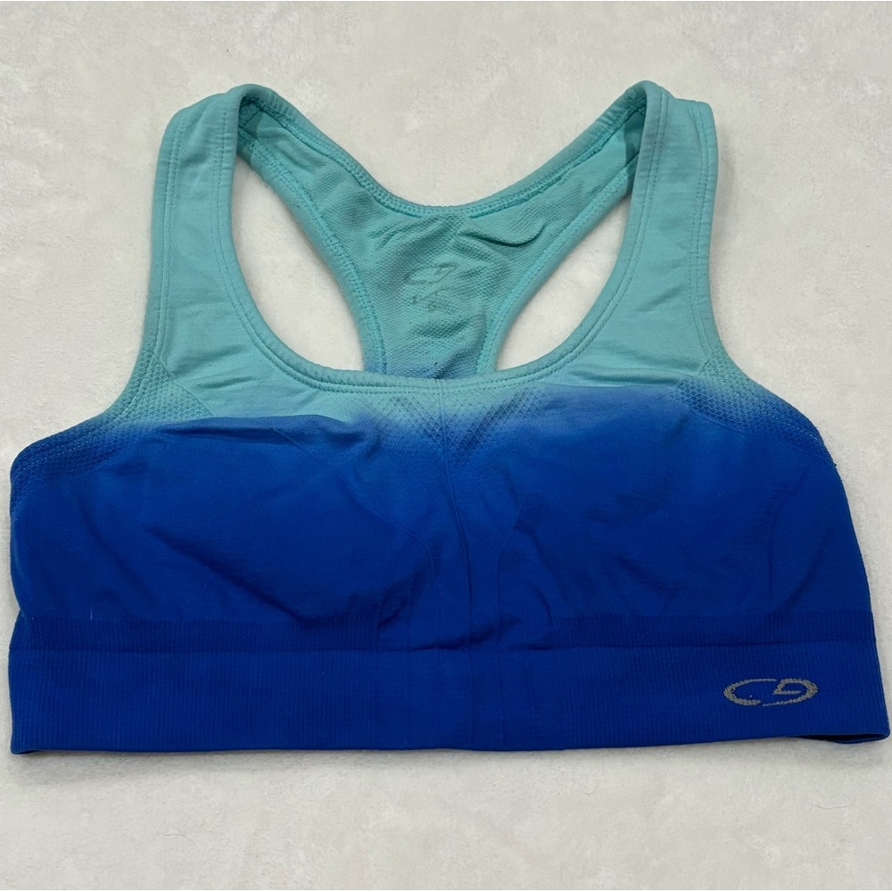 CHAMPION Women’s Activewear Workout Sports Bra - ombré blue, size S
